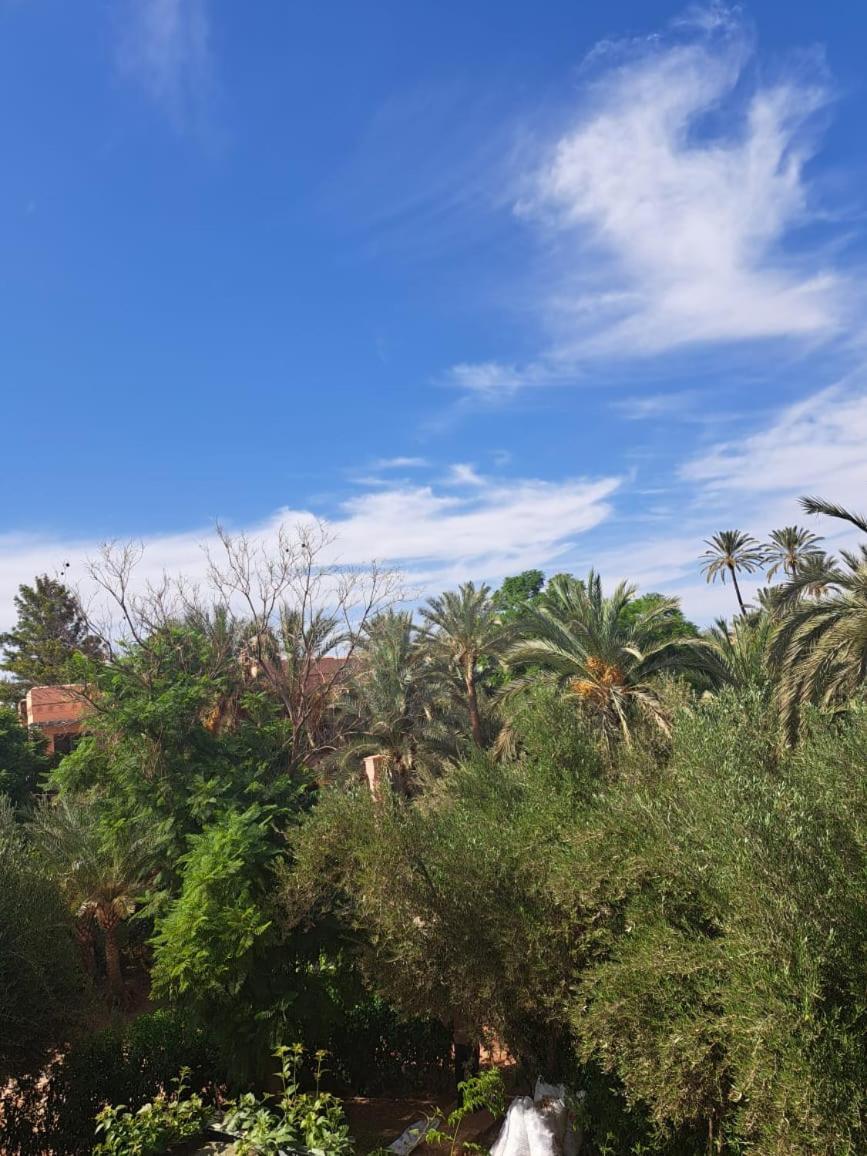 Les Jardins De La Palmeraie Appartement Marrakesh